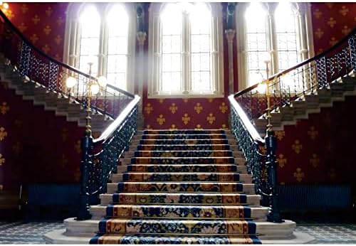 Stepenice Pozadine za fotografiju 10 x 8 ft Evropski luksuzni dvorac Hotle Retro Grand Stairway Sunlight Vinyl Backdroop Bacjground