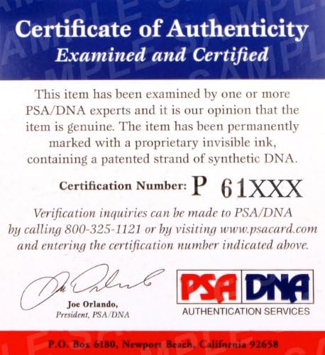 Joe Warren potpisao zvanične Everlast MMA rukavice PSA / DNK COA autogram Bellator 107-autographed UFC rukavice