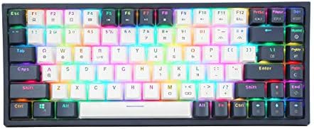 HUO JI CQ84 RGB mehanička tastatura za igre, programabilno RGB pozadinsko osvetljenje, plavi prekidači, USB žičani 75% kompaktni 84